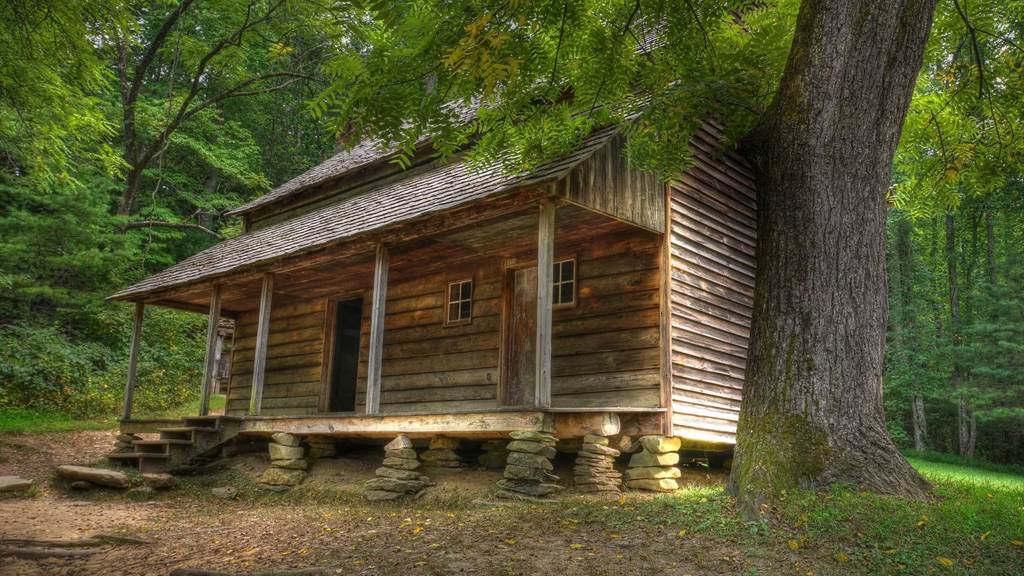 The Mystic Cabin